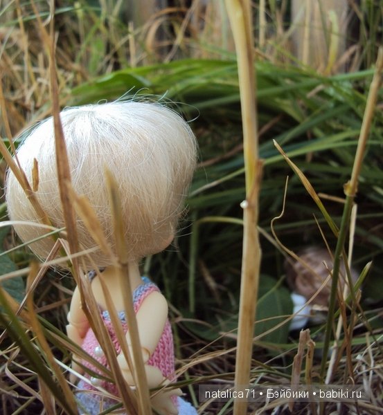 brownie Gogo, Peak`s Woods Woody