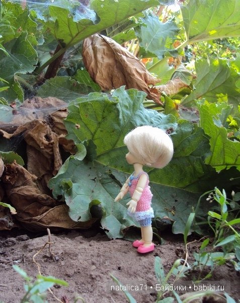 brownie Gogo, Peak`s Woods Woody