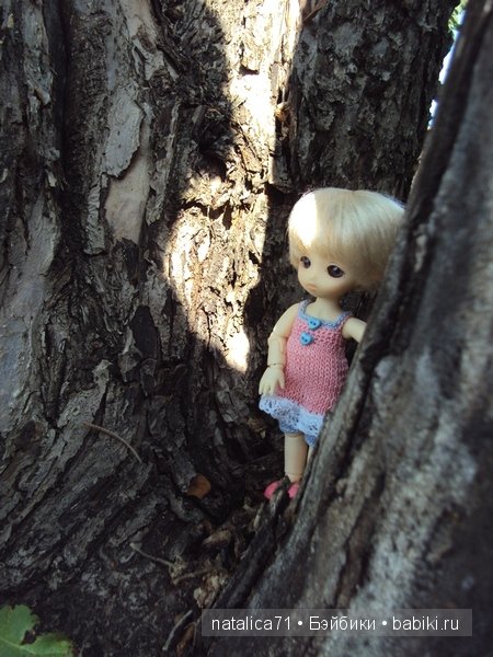 brownie Gogo, Peak`s Woods Woody