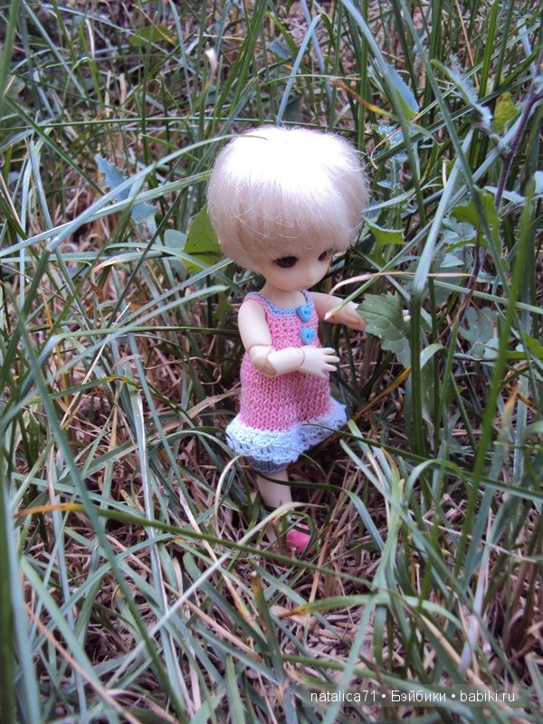 brownie Gogo, Peak`s Woods Woody