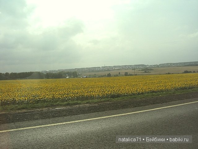 Мы не случайно друзей выбираем