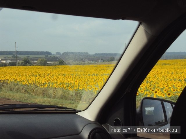 Мы не случайно друзей выбираем (фото 2)