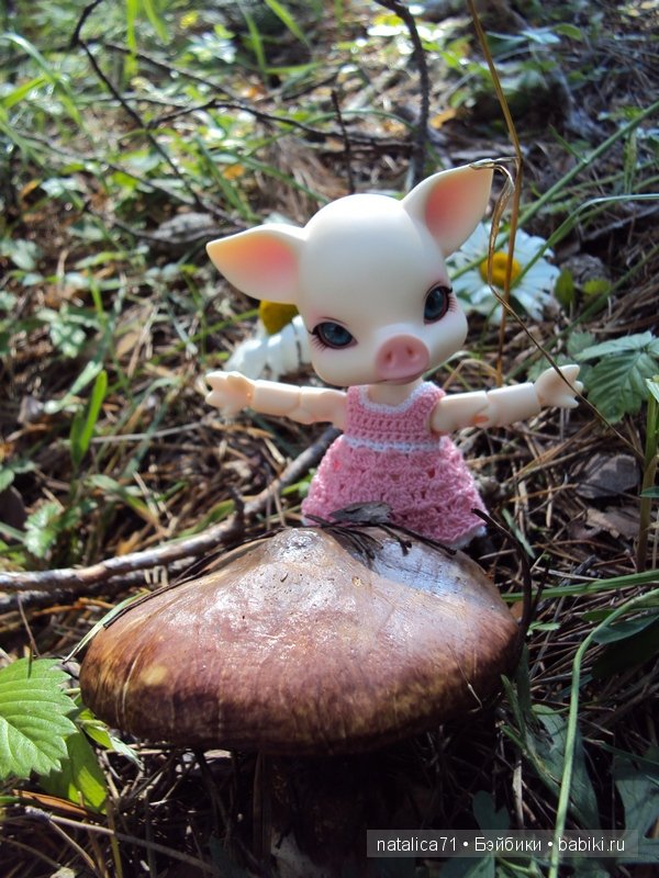 Мы не случайно друзей выбираем