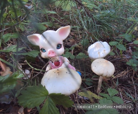 Мы не случайно друзей выбираем