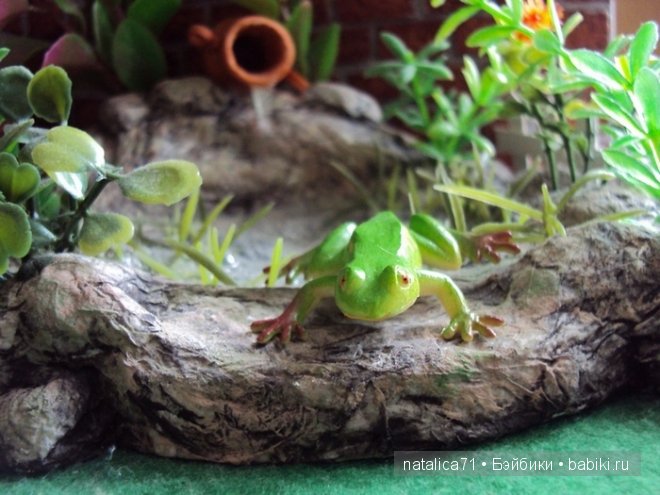 Лягушачья сказка: "Поцелуй Принца" (фото 4)