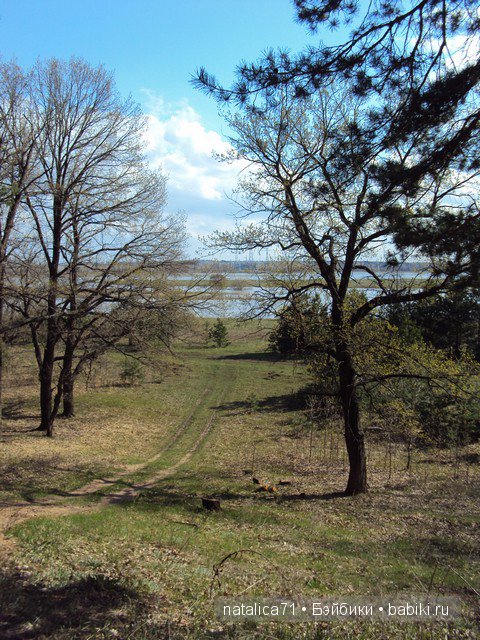 "Шагай!" - поманила лесная дорожка