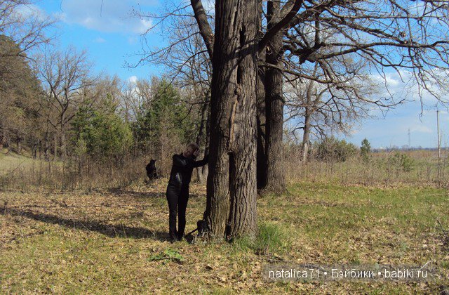 "Шагай!" - поманила лесная дорожка