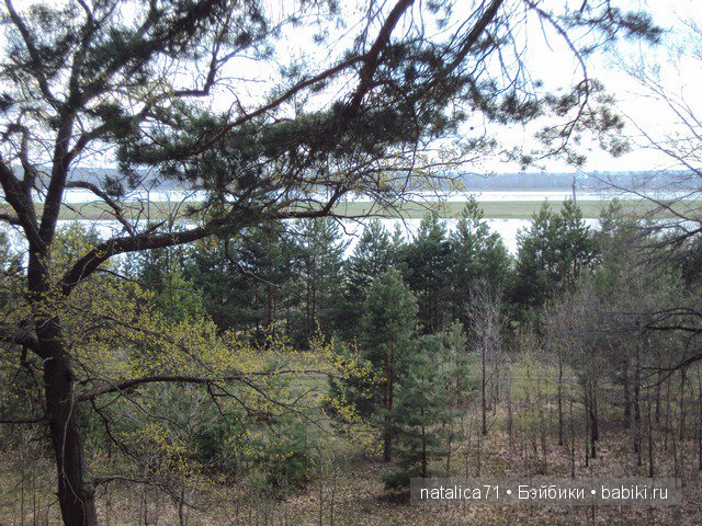 "Шагай!" - поманила лесная дорожка (фото 9)