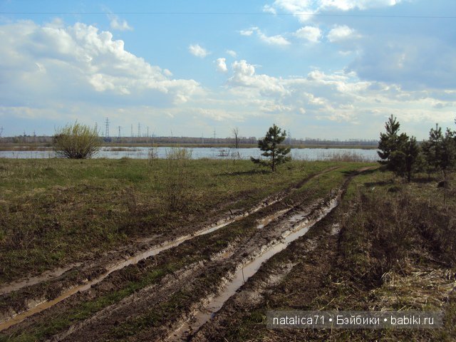 "Шагай!" - поманила лесная дорожка