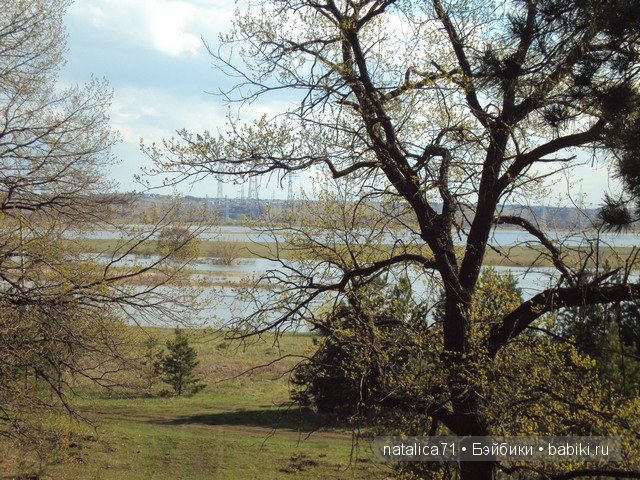 "Шагай!" - поманила лесная дорожка (фото 10)