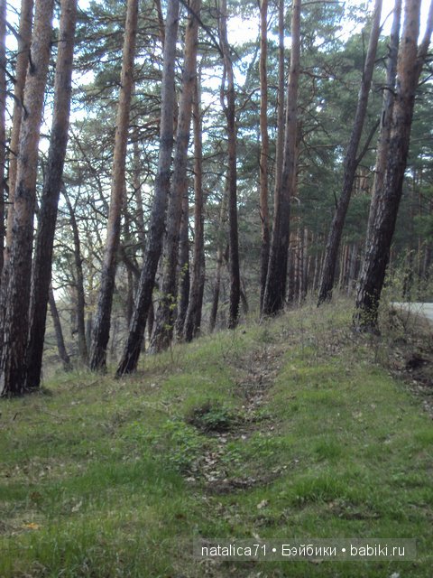 "Шагай!" - поманила лесная дорожка