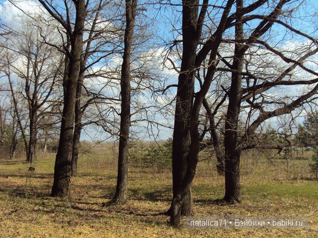"Шагай!" - поманила лесная дорожка