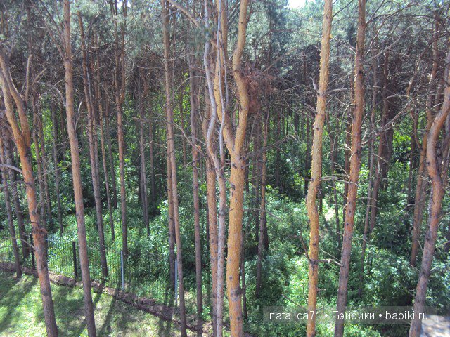 Франциска на прогулке | Бэйбики Франциска на прогулке — Куклы Antonio Juan (Антонио Хуан): реалистичные пупсы