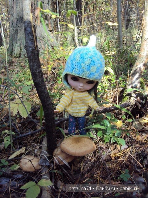 Прогулка в осеннем лесу — Куклы Blythe TBL (ТБЛ) и аналоги: Блюх