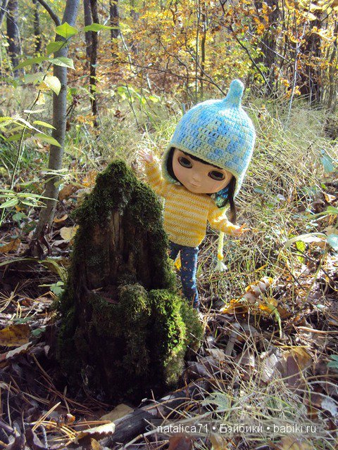 Прогулка в осеннем лесу — Куклы Blythe TBL (ТБЛ) и аналоги: Блюх