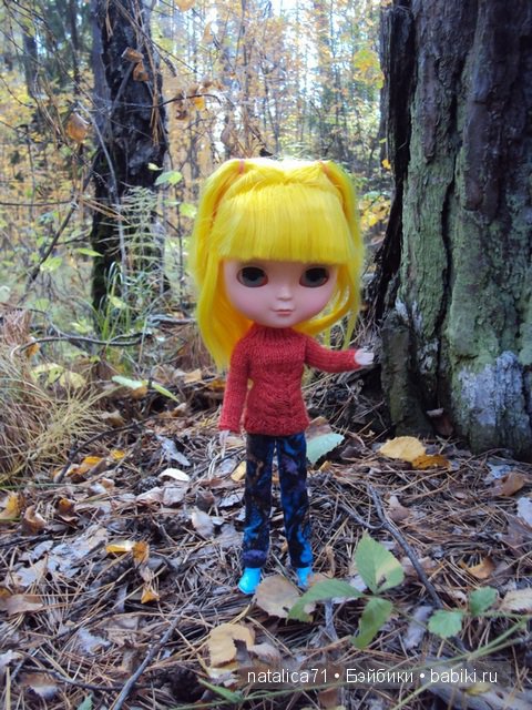 Прогулка в осеннем лесу — Куклы Blythe TBL (ТБЛ) и аналоги: Блюх (фото 3)