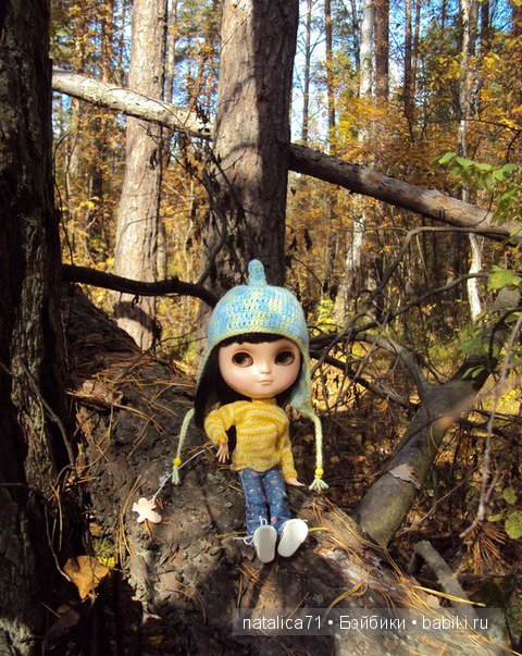 Прогулка в осеннем лесу — Куклы Blythe TBL (ТБЛ) и аналоги: Блюх (фото 7)