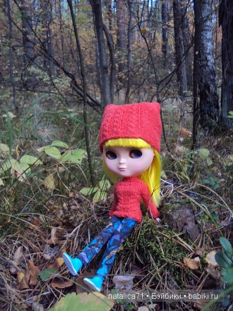 Прогулка в осеннем лесу — Куклы Blythe TBL (ТБЛ) и аналоги: Блюх
