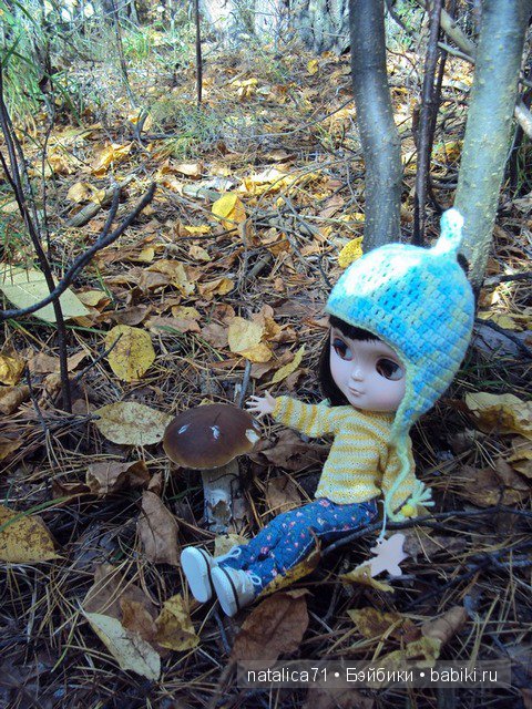 Прогулка в осеннем лесу — Куклы Blythe TBL (ТБЛ) и аналоги: Блюх (фото 10)