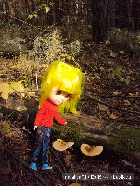 Прогулка в осеннем лесу — Куклы Blythe TBL (ТБЛ) и аналоги: Блюх (фото 4)