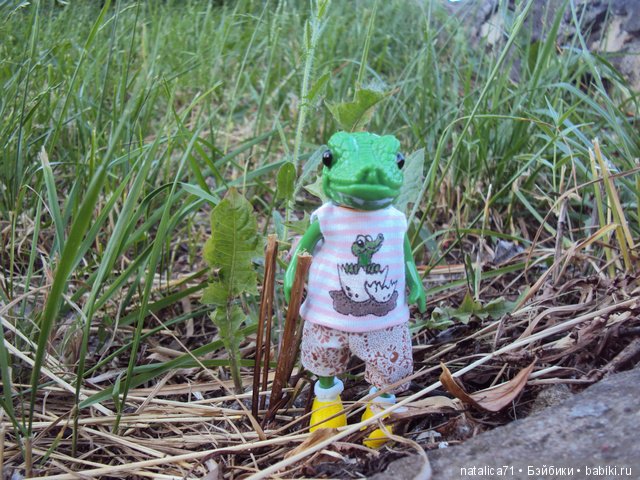 Тотоша. Пополнение в семействе (фото 7)