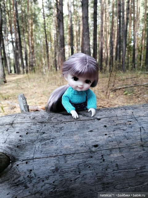 Прогулка в лес — Куклы Baboliy (Баболи (фото 2)