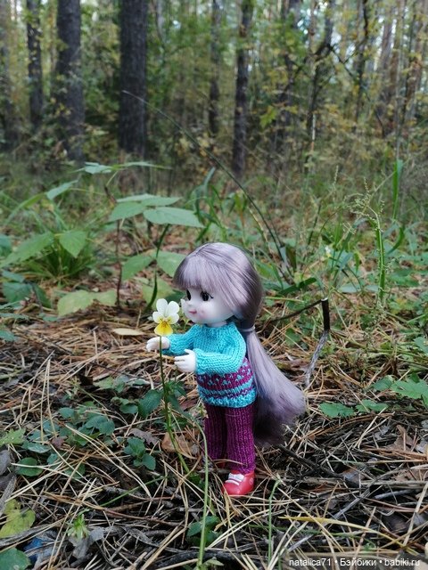 Прогулка в лес — Куклы Baboliy (Баболи (фото 6)
