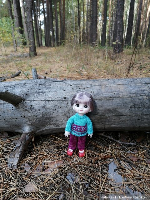 Прогулка в лес — Куклы Baboliy (Баболи