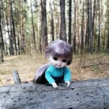 Прогулка в лес