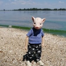 И снова о поросенке