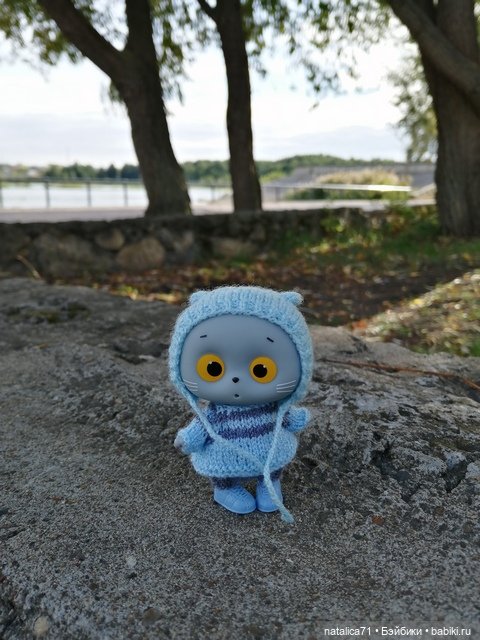 Уютная осень — Кот Басик