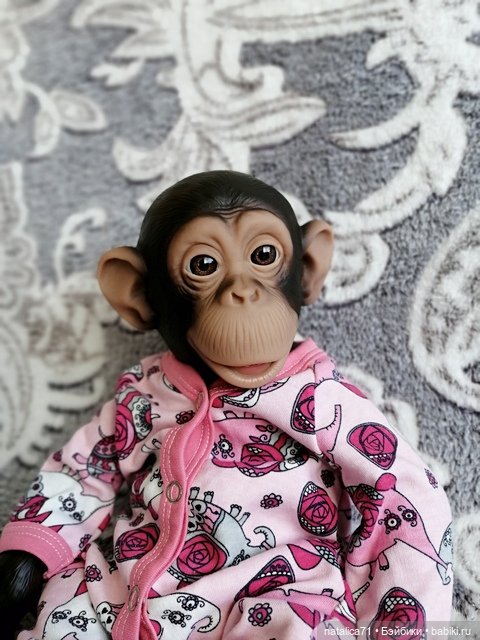 Мои любимцы Анфиска и Тимоша (фото 5)