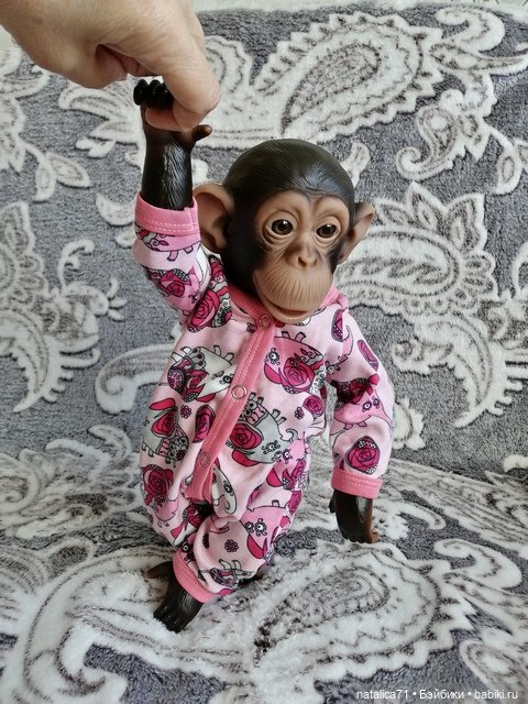 Мои любимцы Анфиска и Тимоша (фото 6)