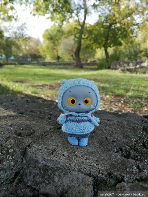 Уютная осень — Кот Басик (фото 3)