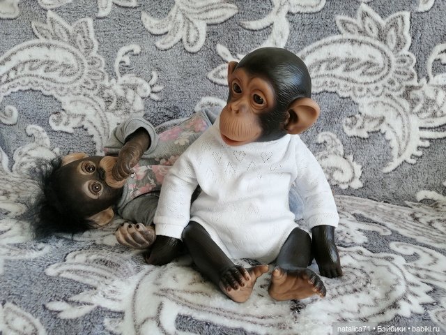 Мои любимцы Анфиска и Тимоша