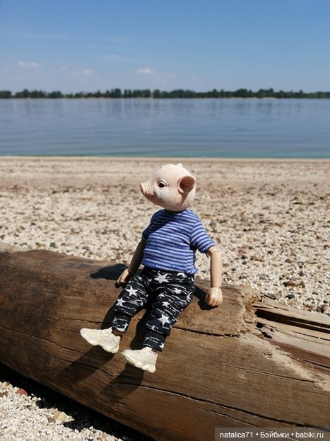 И снова о поросенке | Бэйбики И снова о поросенке — Коллекционные экшн (фото 2)