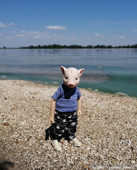 И снова о поросенке | Бэйбики И снова о поросенке — Коллекционные экшн (фото 3)