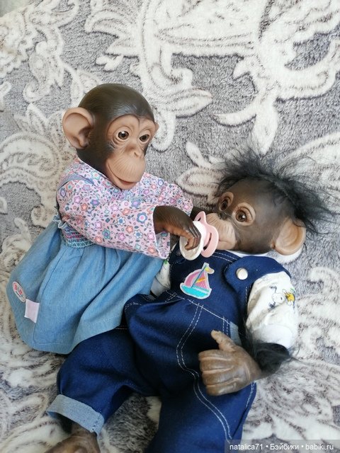 Мои любимцы Анфиска и Тимоша