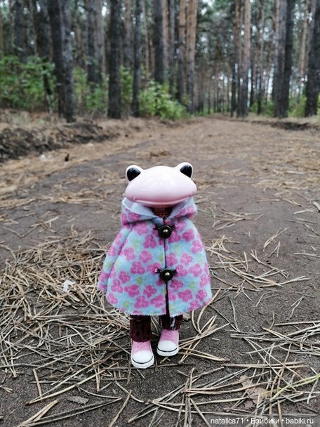 Осень - не время унывать — Азиатские виниловые куклы (разное): Китай