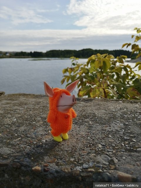 Уютная осень — Кот Басик (фото 7)