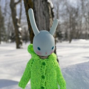 Рози и сугробы