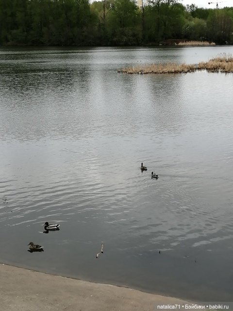 Просто прогулка — Игровые куклы разных производителей (Разное): редкие бренды (фото 3)