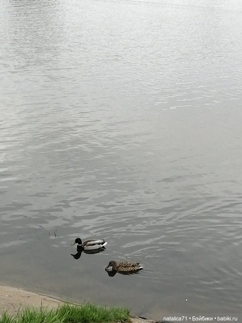 Просто прогулка — Игровые куклы разных производителей (Разное): редкие бренды (фото 6)