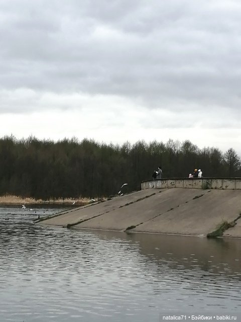 Просто прогулка — Игровые куклы разных производителей (Разное): редкие бренды (фото 9)