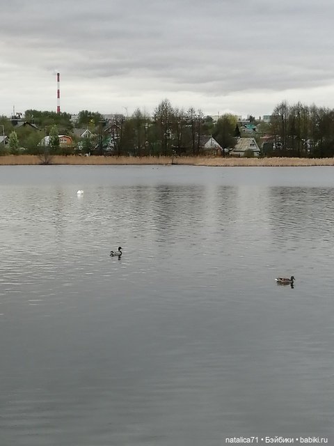 Просто прогулка — Игровые куклы разных производителей (Разное): редкие бренды (фото 4)