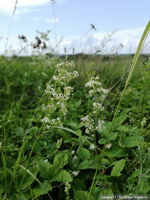 Бабушка-помощница — Игровые куклы разных производителей (Разное): редкие бренды (фото 8)