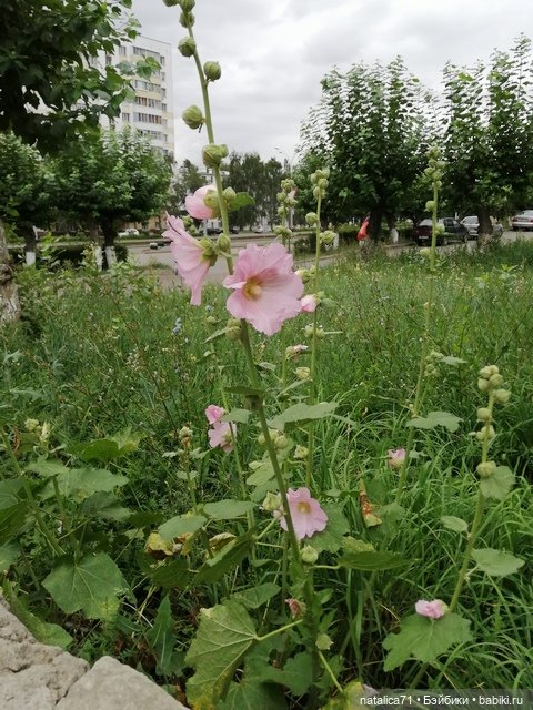 И снова мы встретились — Туризм и путешествия: фотоотчеты из поездок