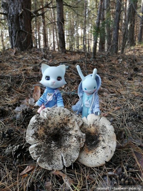 Вот и осень — Куклы Momoko и Ruruko (Petworks (фото 9)