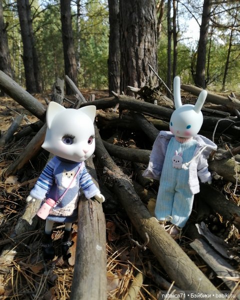 Вот и осень — Куклы Momoko и Ruruko (Petworks (фото 2)