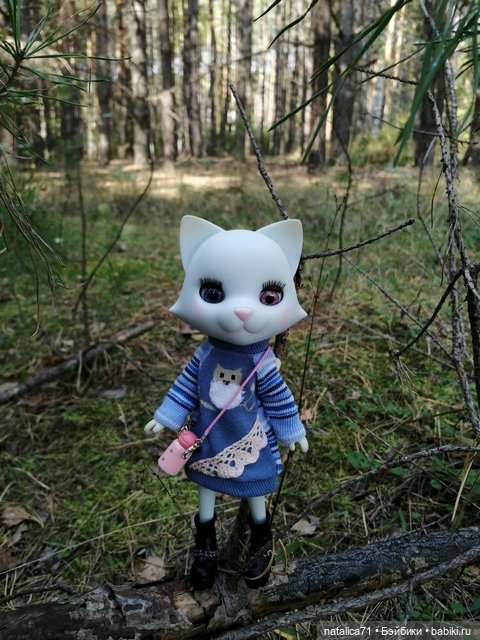 Вот и осень — Куклы Momoko и Ruruko (Petworks (фото 7)